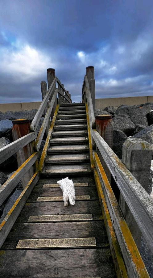 Camber Sands Seascape Horizon Decked Villa Dog Friendly Luaran gambar